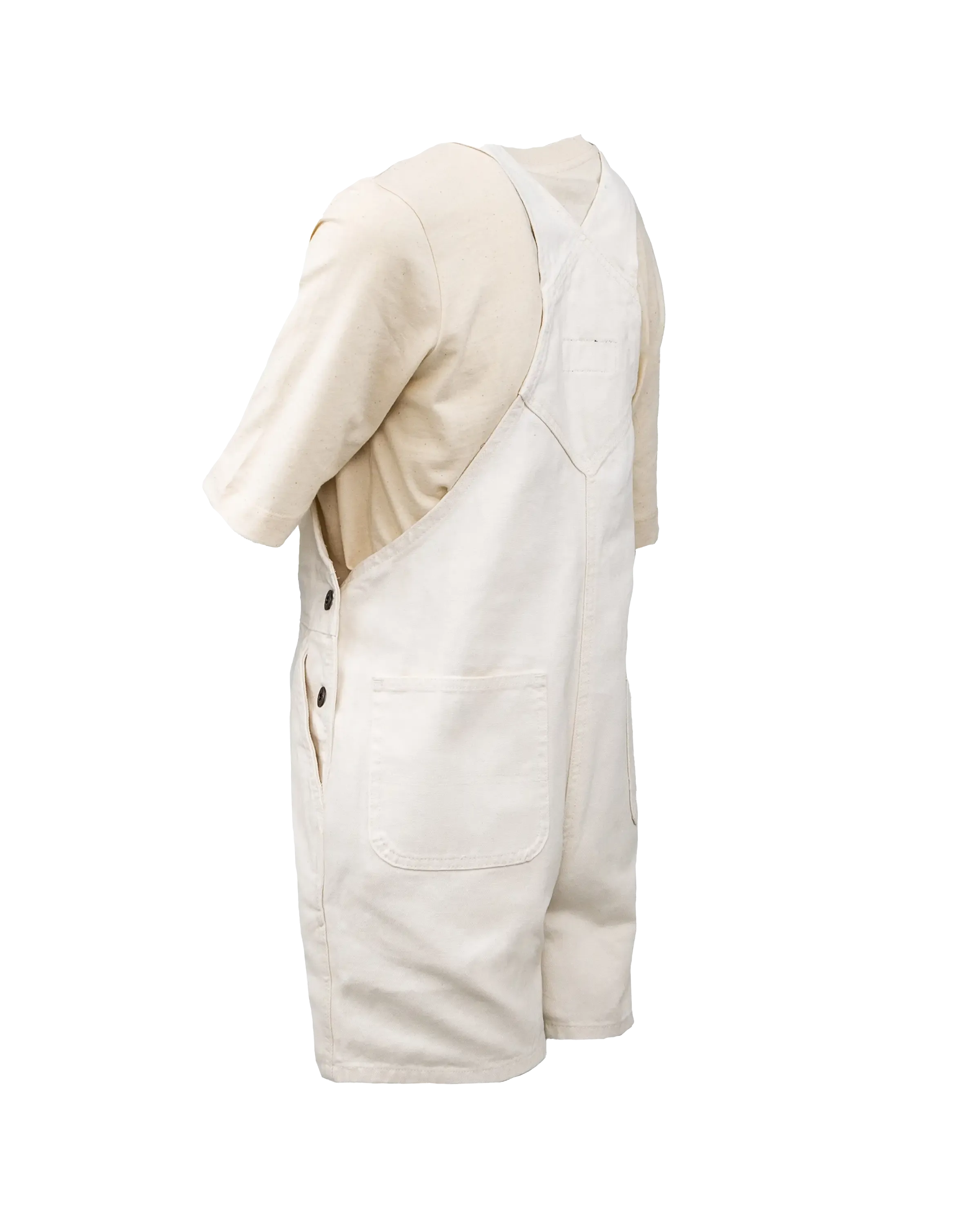 Duck Canvas Bib Shorts in Cloud